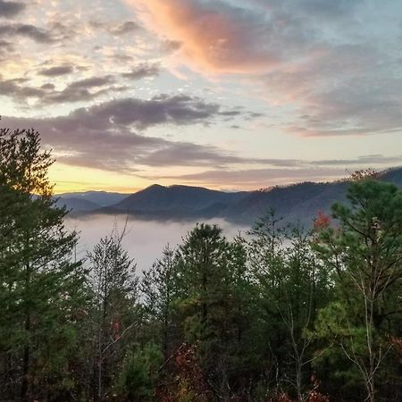 Lazy Bear Lodge Sevierville Bagian luar foto